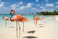 toelichting Midden-Amerika & Caribbean